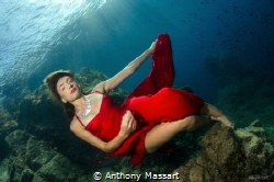 Red dress by Anthony Massart 